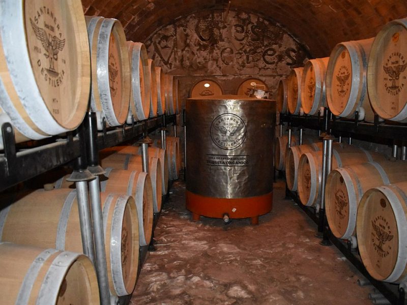 EL PRIMER DÍA NACIONAL DEL TEQUILA