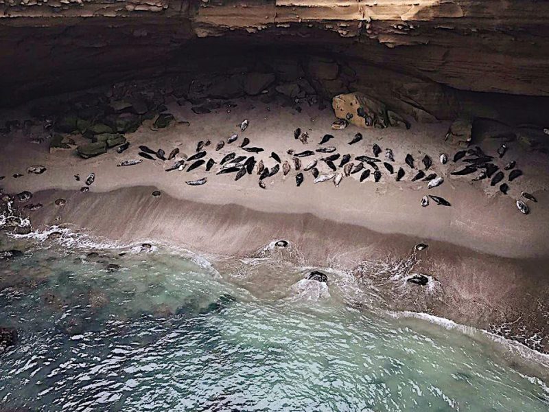 LA CUEVA OCULTA EN BC PARA VER FOCAS Y LEONES MARINOS