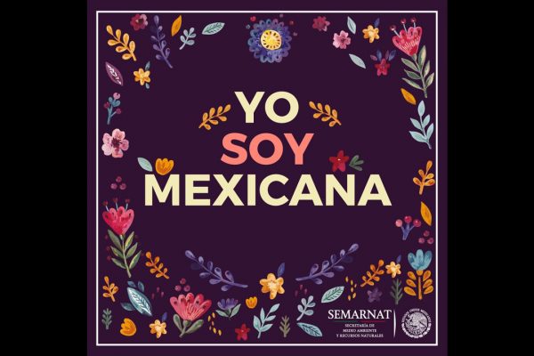 Tiene por objetivo sensibilizar sobre el papel de la mujer mexicana en la sociedad y sobre las desigualdades de género