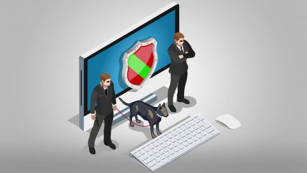 Seguridad en la web