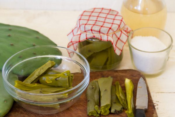BENEFICIOS DEL NOPAL PARA TU SALUD