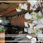 El restaurante rescata la cultura tradicional de Japón y crea experiencias inigualables para sus comensales