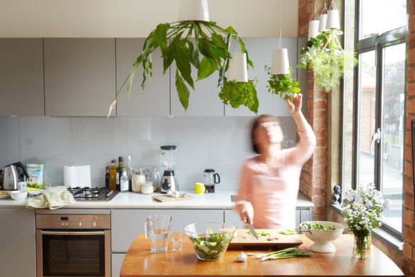 hogar ecologico