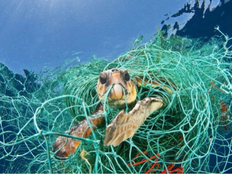 Proteccion oceanos