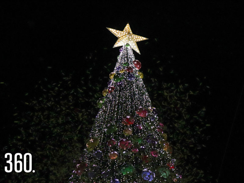 Encendido del pino navideño.