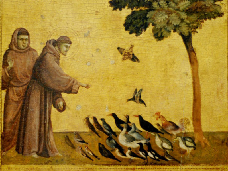 PADRE