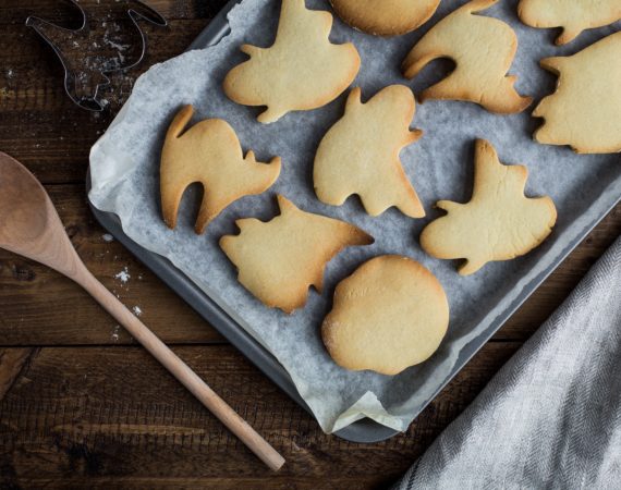 RECETAS PARA PERROS