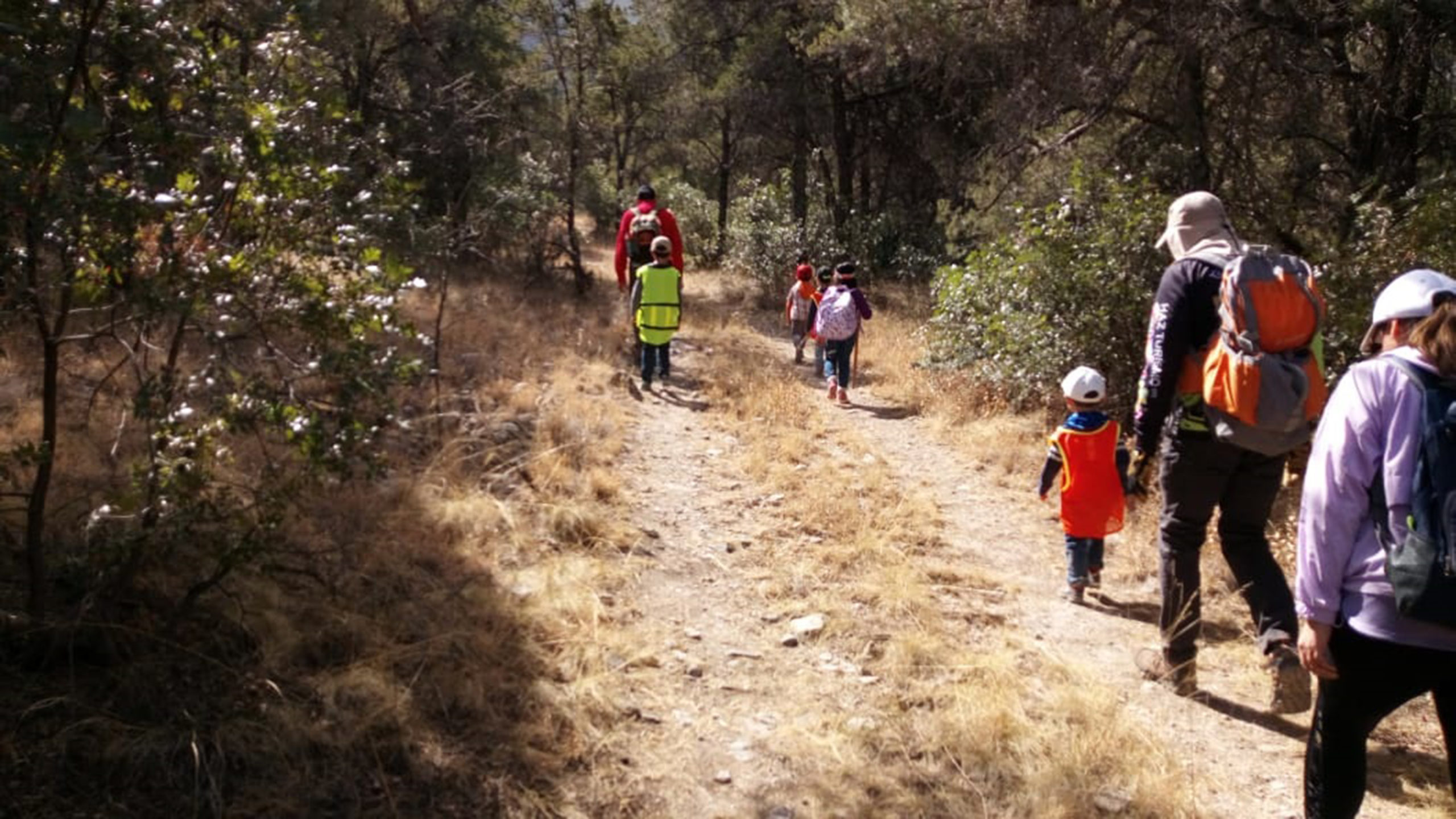 Caminata con los nietos.