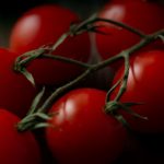 TOMATES