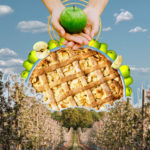 MANZANAS