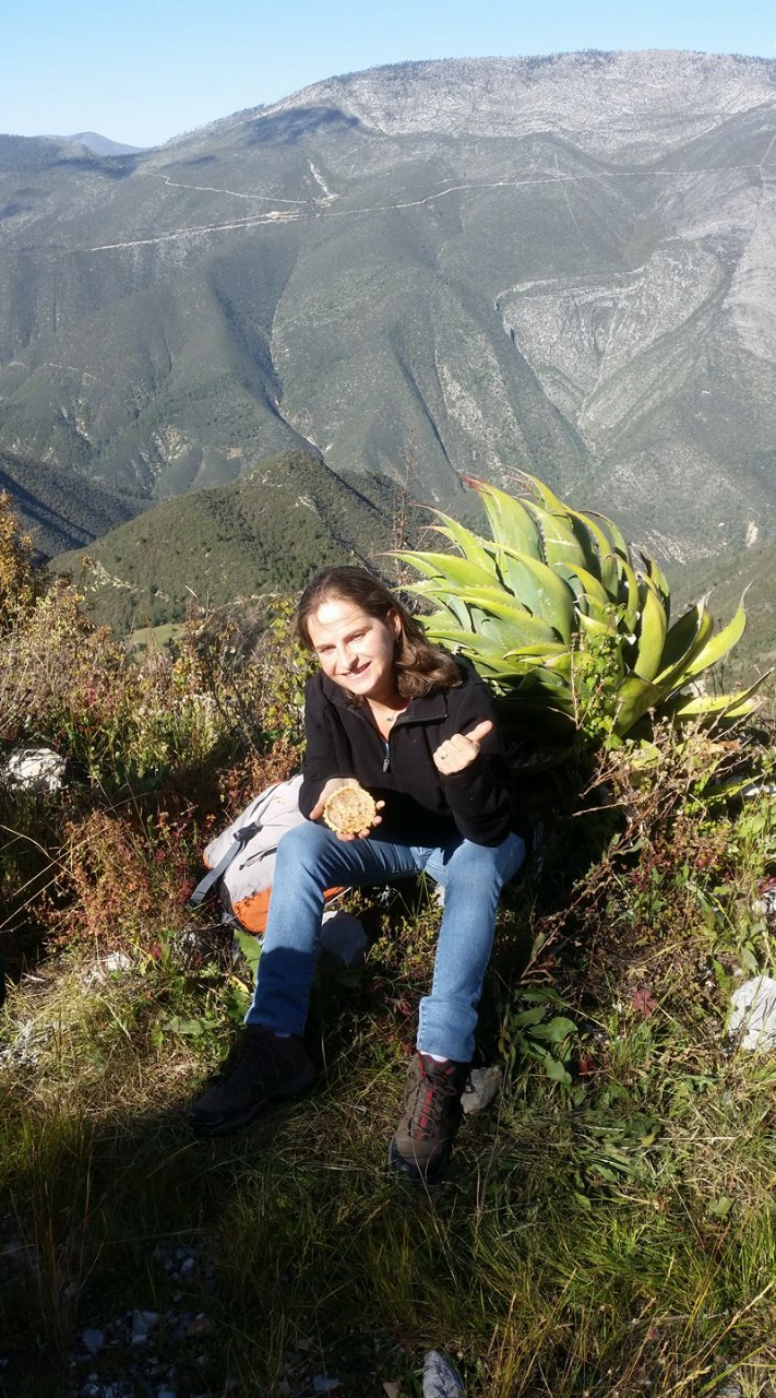 En la Sierra de Arteaga.