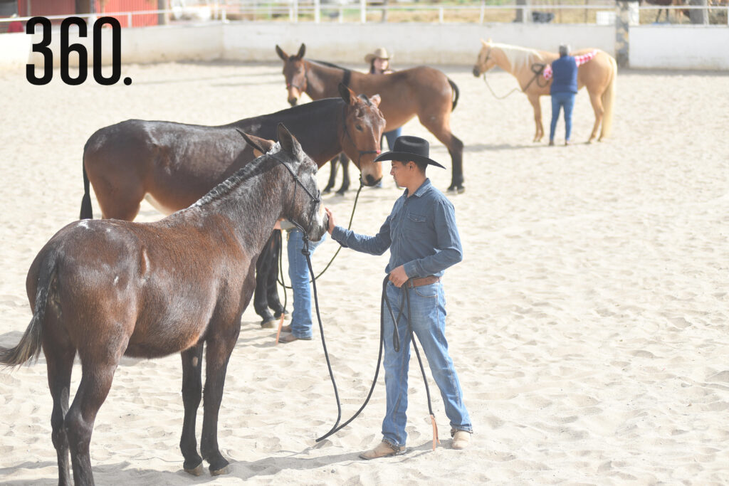 Cada día durante el curso se combinó una sesión teórica en el aula para después seguir con la práctica.