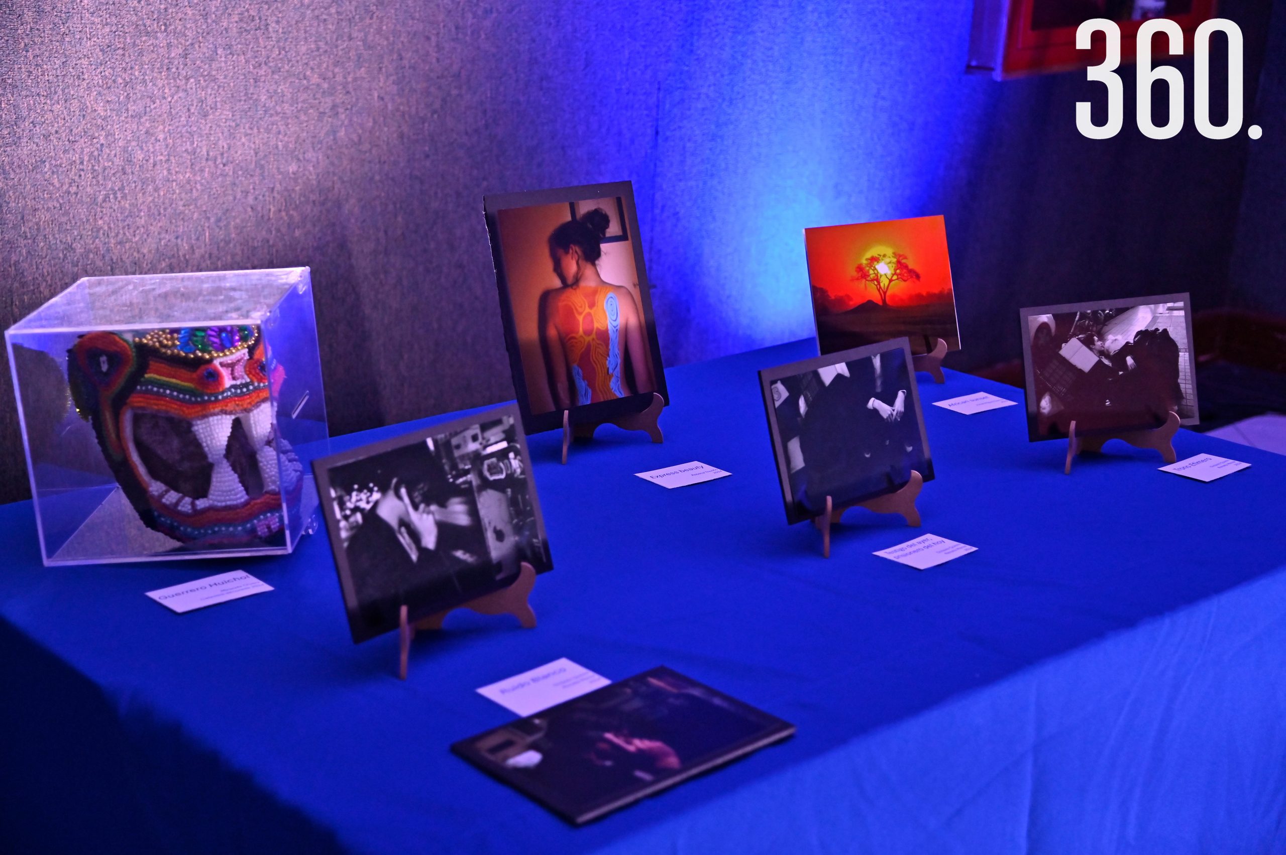 También exhibieron fotografías y diferentes piezas plásticas.